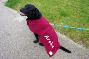 Archie's Pet Pantry Red Dog Coat