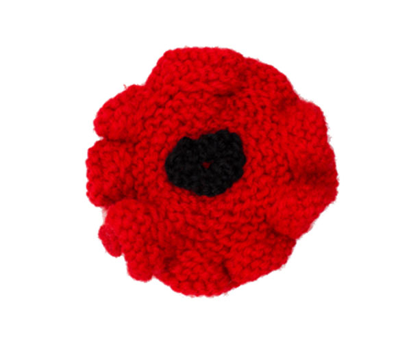 Knitted Poppy for Dogs
